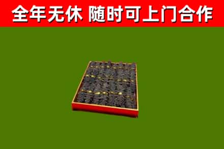 焦作市回收海参